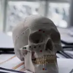 42CFF45C-950D-411E-A9DF-2C8D60EC2BD9